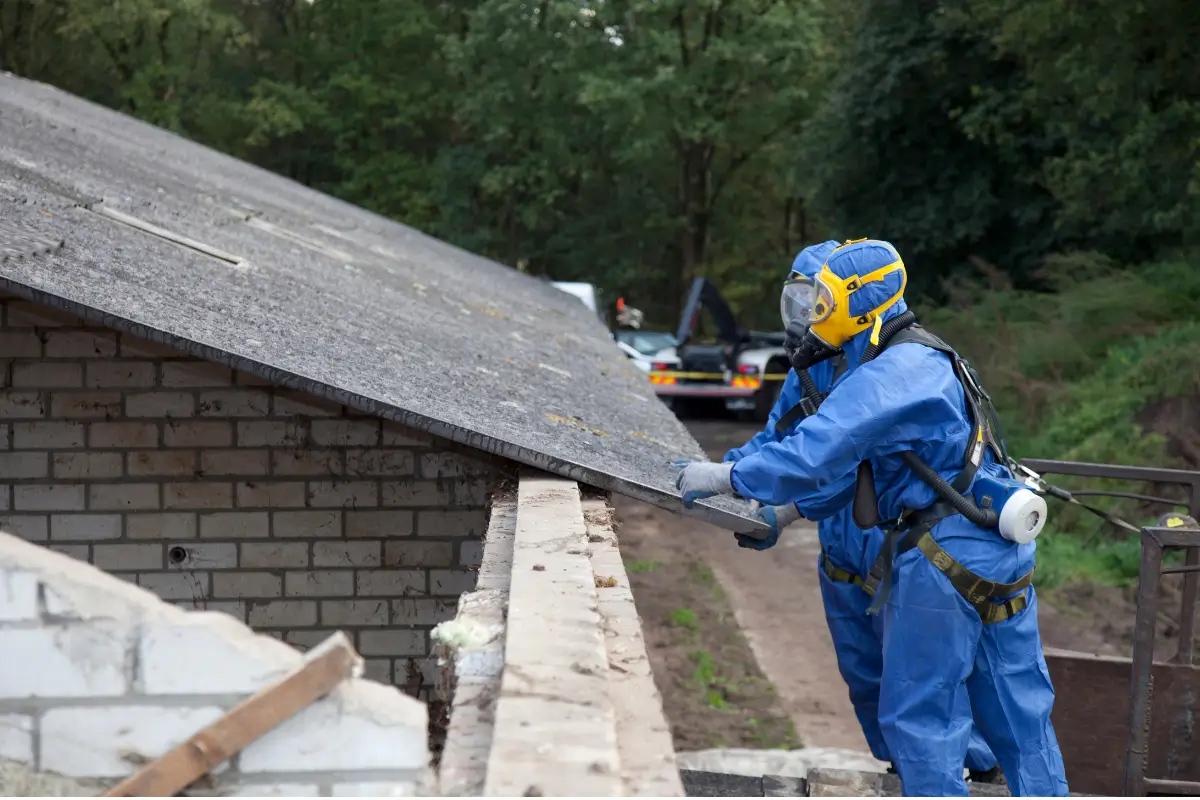 Who Does the Control of Asbestos Regulations Apply To Complete Guide